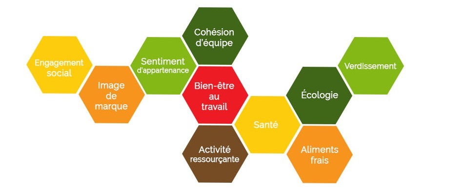 Avantages du jardin d'entreprise