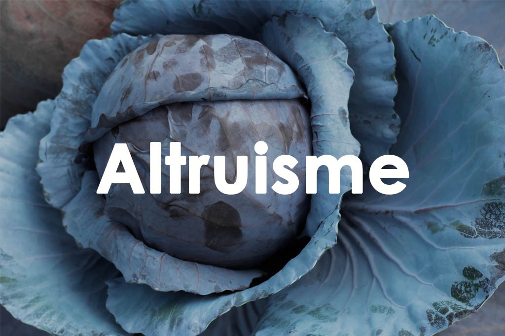 Altruisme