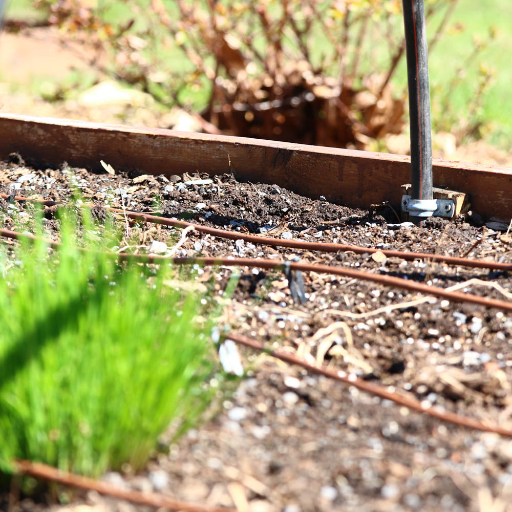 Drip irrigation